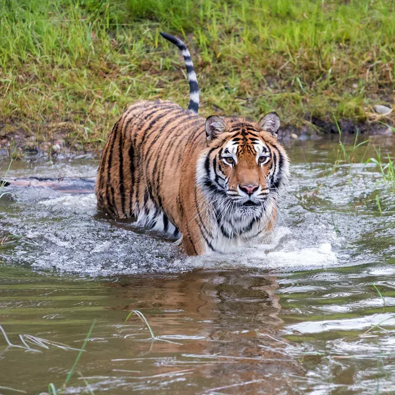Bardia National Park